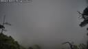 ./images/calvert/fitz-hugh-hecate/20250624/fitz-hugh-hecate20250624_185510M.jpg