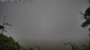./images/calvert/fitz-hugh-hecate/20250624/fitz-hugh-hecate20250624_190008M.jpg