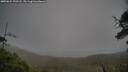 ./images/calvert/fitz-hugh-hecate/20250624/fitz-hugh-hecate20250624_190508M.jpg
