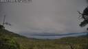 ./images/calvert/fitz-hugh-hecate/20250624/fitz-hugh-hecate20250624_192009M.jpg