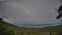 ./images/calvert/fitz-hugh-hecate/20250624/fitz-hugh-hecate20250624_192508M.jpg