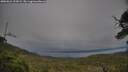 ./images/calvert/fitz-hugh-hecate/20250624/fitz-hugh-hecate20250624_193009M.jpg