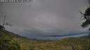 ./images/calvert/fitz-hugh-hecate/20250624/fitz-hugh-hecate20250624_194009M.jpg