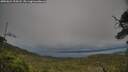 ./images/calvert/fitz-hugh-hecate/20250624/fitz-hugh-hecate20250624_194508M.jpg