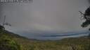 ./images/calvert/fitz-hugh-hecate/20250624/fitz-hugh-hecate20250624_195009M.jpg