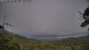 ./images/calvert/fitz-hugh-hecate/20250624/fitz-hugh-hecate20250624_195507M.jpg