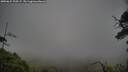 ./images/calvert/fitz-hugh-hecate/20250624/fitz-hugh-hecate20250624_200507M.jpg