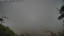 ./images/calvert/fitz-hugh-hecate/20250624/fitz-hugh-hecate20250624_202007M.jpg