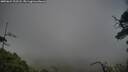 ./images/calvert/fitz-hugh-hecate/20250624/fitz-hugh-hecate20250624_202508M.jpg
