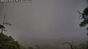 ./images/calvert/fitz-hugh-hecate/20250624/fitz-hugh-hecate20250624_203008M.jpg