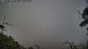 ./images/calvert/fitz-hugh-hecate/20250624/fitz-hugh-hecate20250624_203508M.jpg