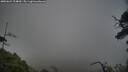 ./images/calvert/fitz-hugh-hecate/20250624/fitz-hugh-hecate20250624_204009M.jpg