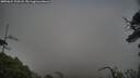 ./images/calvert/fitz-hugh-hecate/20250624/fitz-hugh-hecate20250624_210508M.jpg