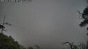 ./images/calvert/fitz-hugh-hecate/20250624/fitz-hugh-hecate20250624_211009M.jpg