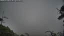 ./images/calvert/fitz-hugh-hecate/20250624/fitz-hugh-hecate20250624_212008M.jpg