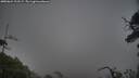 ./images/calvert/fitz-hugh-hecate/20250624/fitz-hugh-hecate20250624_212509M.jpg