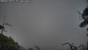 ./images/calvert/fitz-hugh-hecate/20250624/fitz-hugh-hecate20250624_213509M.jpg