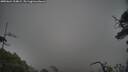 ./images/calvert/fitz-hugh-hecate/20250624/fitz-hugh-hecate20250624_214009M.jpg