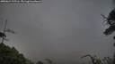 ./images/calvert/fitz-hugh-hecate/20250624/fitz-hugh-hecate20250624_215506M.jpg