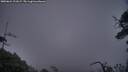 ./images/calvert/fitz-hugh-hecate/20250624/fitz-hugh-hecate20250624_221007M.jpg