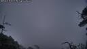 ./images/calvert/fitz-hugh-hecate/20250624/fitz-hugh-hecate20250624_221509M.jpg