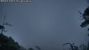 ./images/calvert/fitz-hugh-hecate/20250624/fitz-hugh-hecate20250624_222008M.jpg