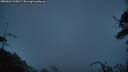 ./images/calvert/fitz-hugh-hecate/20250624/fitz-hugh-hecate20250624_223006M.jpg