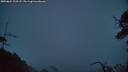 ./images/calvert/fitz-hugh-hecate/20250624/fitz-hugh-hecate20250624_223508M.jpg