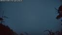 ./images/calvert/fitz-hugh-hecate/20250624/fitz-hugh-hecate20250624_224009M.jpg
