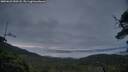 ./images/calvert/fitz-hugh-hecate/20250625/fitz-hugh-hecate20250625_050508M.jpg