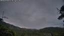 ./images/calvert/fitz-hugh-hecate/20250625/fitz-hugh-hecate20250625_051009M.jpg