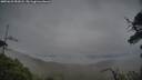 ./images/calvert/fitz-hugh-hecate/20250625/fitz-hugh-hecate20250625_052008M.jpg