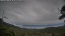 ./images/calvert/fitz-hugh-hecate/20250625/fitz-hugh-hecate20250625_053008M.jpg