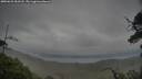./images/calvert/fitz-hugh-hecate/20250625/fitz-hugh-hecate20250625_053508M.jpg