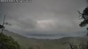./images/calvert/fitz-hugh-hecate/20250625/fitz-hugh-hecate20250625_054009M.jpg