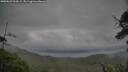 ./images/calvert/fitz-hugh-hecate/20250625/fitz-hugh-hecate20250625_054508M.jpg