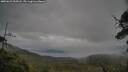 ./images/calvert/fitz-hugh-hecate/20250625/fitz-hugh-hecate20250625_055008M.jpg