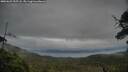 ./images/calvert/fitz-hugh-hecate/20250625/fitz-hugh-hecate20250625_055508M.jpg