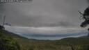 ./images/calvert/fitz-hugh-hecate/20250625/fitz-hugh-hecate20250625_060009M.jpg