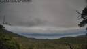 ./images/calvert/fitz-hugh-hecate/20250625/fitz-hugh-hecate20250625_060510M.jpg