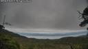 ./images/calvert/fitz-hugh-hecate/20250625/fitz-hugh-hecate20250625_062509M.jpg
