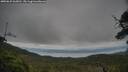./images/calvert/fitz-hugh-hecate/20250625/fitz-hugh-hecate20250625_063011M.jpg