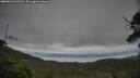 ./images/calvert/fitz-hugh-hecate/20250625/fitz-hugh-hecate20250625_063510M.jpg