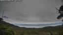 ./images/calvert/fitz-hugh-hecate/20250625/fitz-hugh-hecate20250625_064010M.jpg