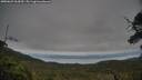 ./images/calvert/fitz-hugh-hecate/20250625/fitz-hugh-hecate20250625_064510M.jpg