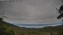 ./images/calvert/fitz-hugh-hecate/20250625/fitz-hugh-hecate20250625_065509M.jpg