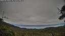 ./images/calvert/fitz-hugh-hecate/20250625/fitz-hugh-hecate20250625_070011M.jpg