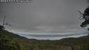 ./images/calvert/fitz-hugh-hecate/20250625/fitz-hugh-hecate20250625_071009M.jpg