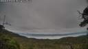 ./images/calvert/fitz-hugh-hecate/20250625/fitz-hugh-hecate20250625_072510M.jpg