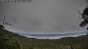 ./images/calvert/fitz-hugh-hecate/20250625/fitz-hugh-hecate20250625_075010M.jpg